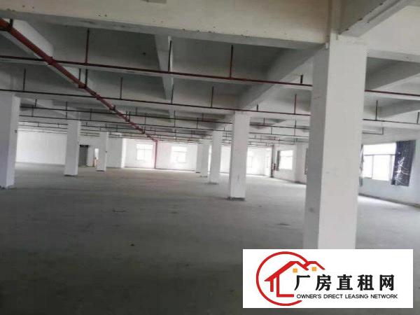  万江严屋标准厂房分租1000平方起租