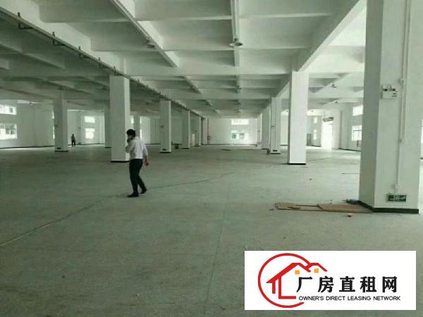  万江原房东独门独院厂房两层2000平方，地坪漆，空地大
