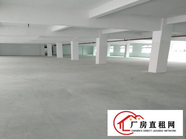  万江原房东独门独院厂房两层2000平方，地坪漆，空地大