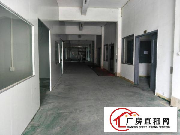  市场少有原房东独门独院标准厂房独立变压器空地超大