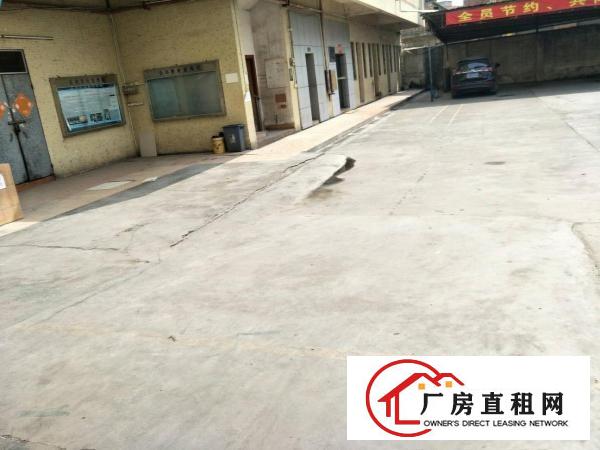  市场少有原房东独门独院标准厂房独立变压器空地超大