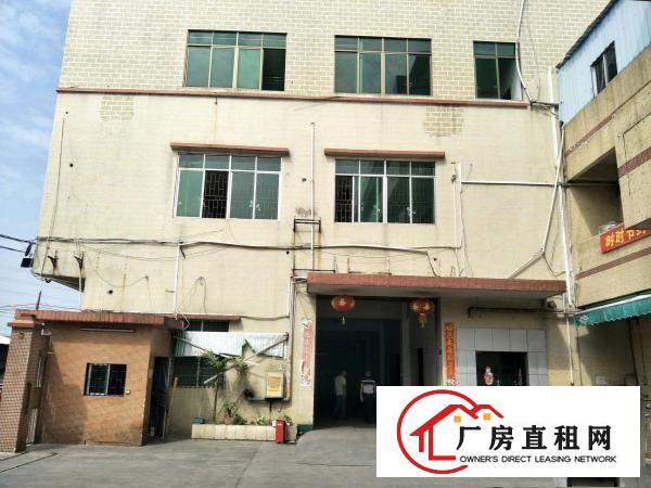  市场少有原房东独门独院标准厂房独立变压器空地超大