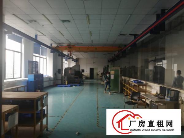  万江新出一楼二楼各3200平带豪华装修厂房！无尘车间