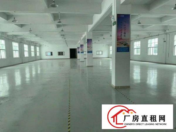  万江新出楼上整层精装修厂房实际面积出租水电齐全1200平
