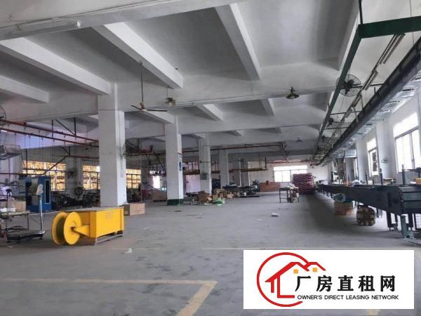  万江标准厂房一楼1300平方，非常适合做口罩机行业