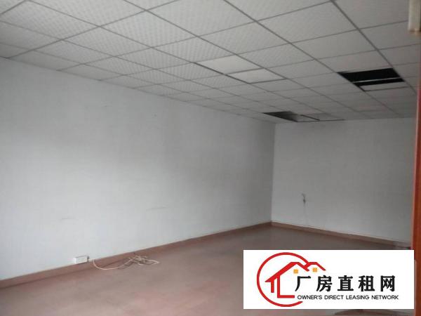  万江简沙洲工业区新出钢结构厂房900平方