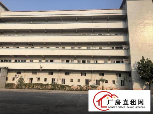  花园式独院厂房5000平方出租