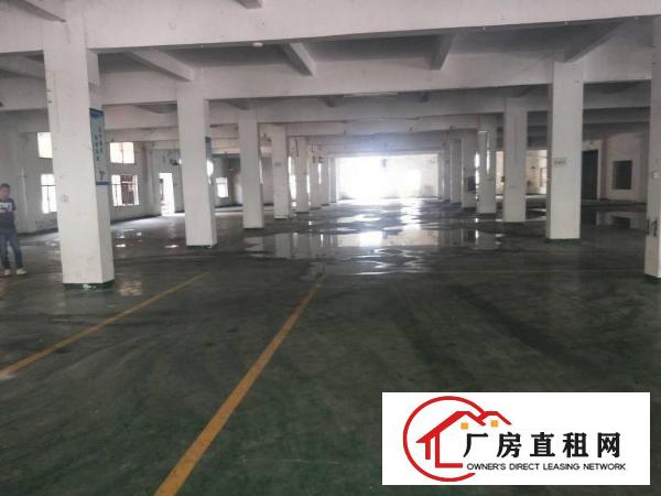  万江新和工业区新出原房东独院标准厂房一楼2600平方