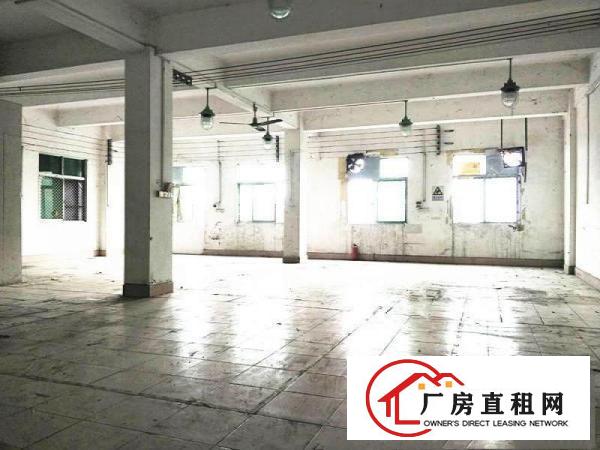  万江石美空出一楼300平方厂房出租配电150K水电齐全有院子