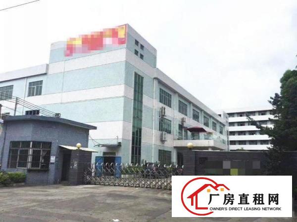  万江石美空出一楼300平方厂房出租配电150K水电齐全有院子