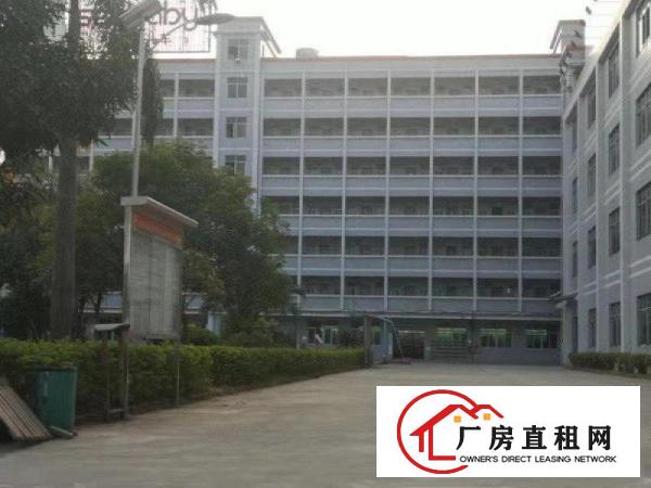  万江大汾一楼厂房出租1650平方出无尘车间，有环评！配电大！