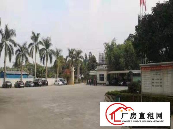  万江大汾一楼厂房出租1650平方出无尘车间，有环评！配电大！
