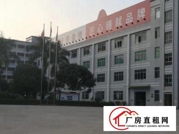  万江大汾一楼厂房出租1650平方出无尘车间，有环评！配电大！