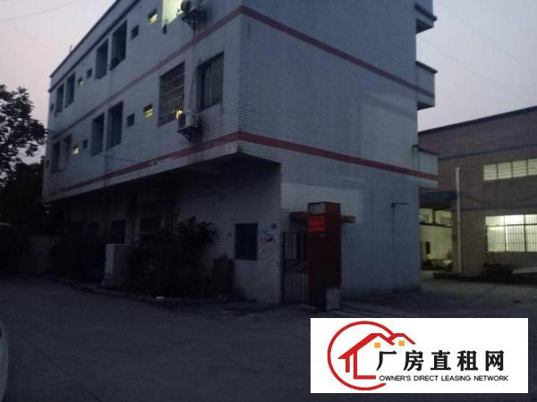  原房东独门独院单一层配办公宿舍现成水电齐全