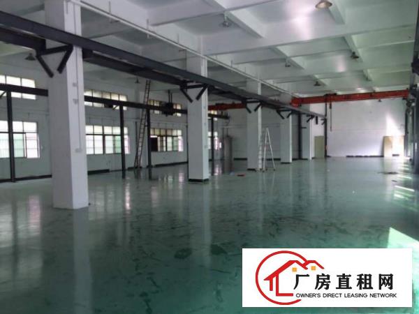  望牛墩新出标准独院厂房仓库出租11000平米招租，原房东出租