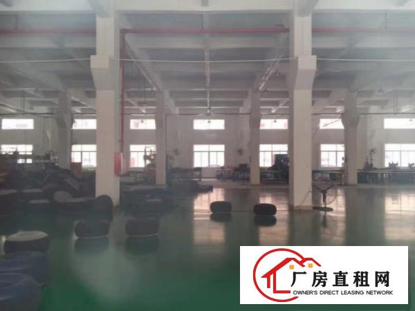  望牛墩新出标准独院厂房仓库出租11000平米招租，原房东出租