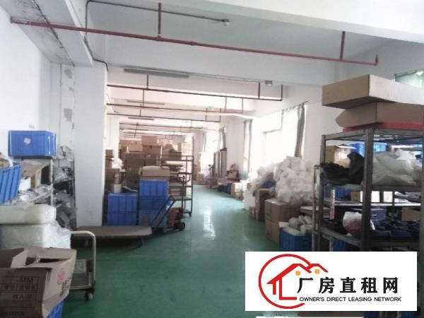  万江区实际面积带无尘车间厂房出租1500平精装修