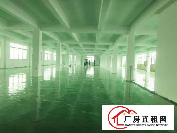  万江石美工业园二楼三楼各2000平方标准厂房配3吨电梯空地大