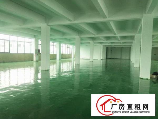  万江石美工业园二楼三楼各2000平方标准厂房配3吨电梯空地大