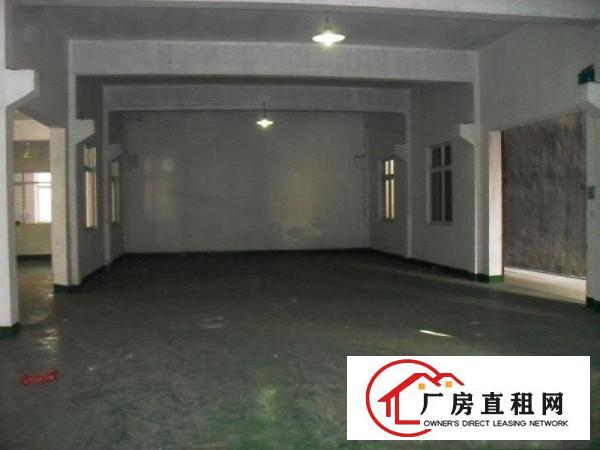 万江新出一楼厂房500平方，适合做仓库，小加工