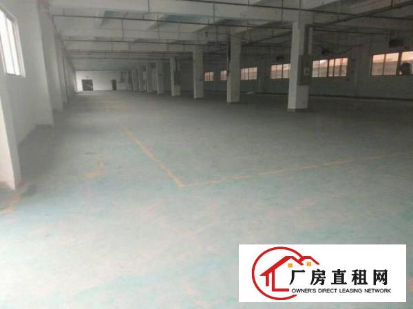  环城路外原房东分租独栋标准厂房三层面积实量形象地段佳