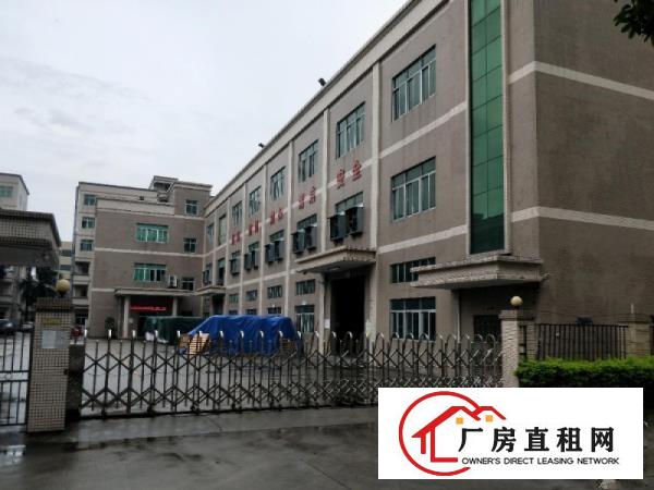  万江区新出原房东标准独门独院厂房出租13800平方，可办环评