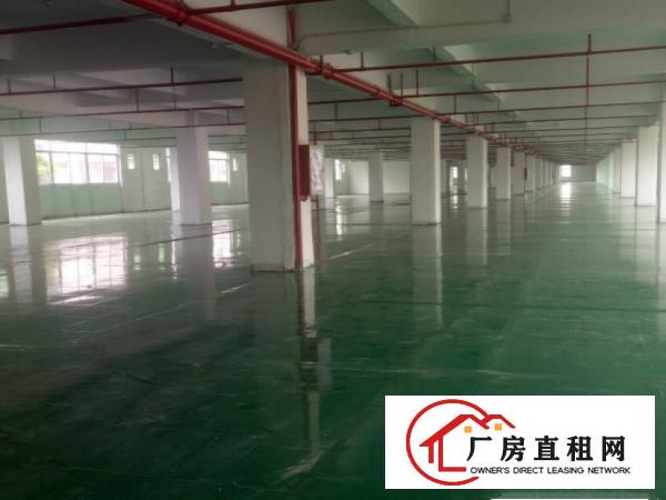  万江区新出原房东标准独门独院厂房出租13800平方，可办环评
