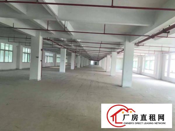  万江区新出原房东标准独门独院厂房出租13800平方，可办环评