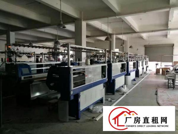  万江简沙洲现成装修，3吨货梯厂房出租