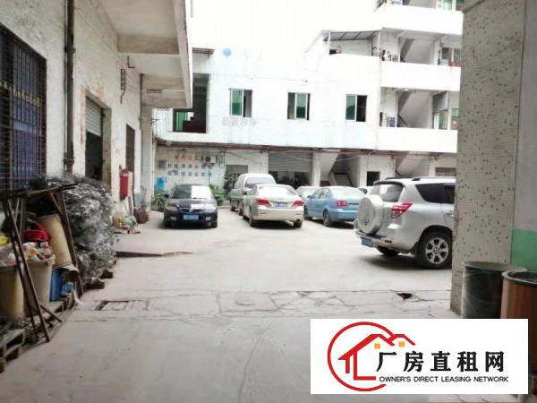 万江滘联新出小厂房550平方出租