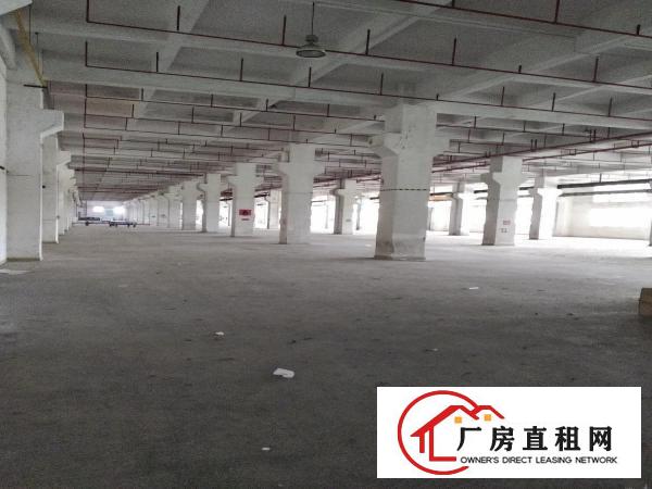  万江新出二楼带地坪漆厂房900平方招租，形象好