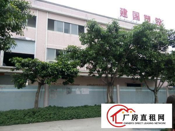  万江新出二楼带地坪漆厂房900平方招租，形象好