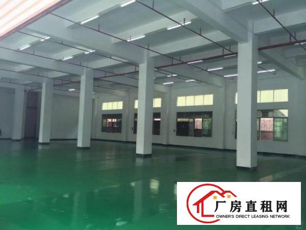  万江新出二楼带地坪漆厂房900平方招租，形象好