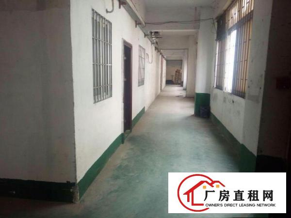  万江蚬涌工业路标准厂房出租
