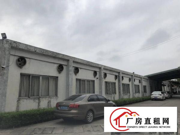  万江总站独立厂房970平方，便宜租
