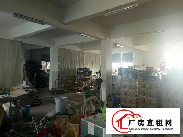  万江总站独立厂房970平方，便宜租