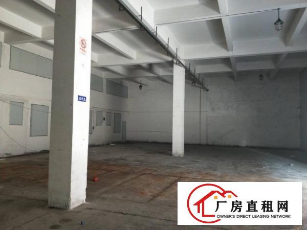  万江企石市场新出六米高一楼厂房2000平方