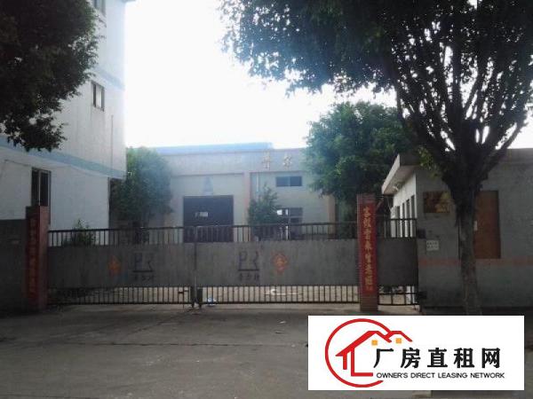  （原房东）万江独门独院800平方，独门独院1500平方招租