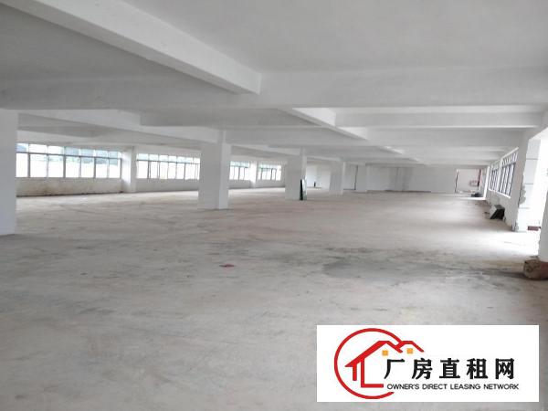  万江园区新出一楼厂房1500平方带装修，形象