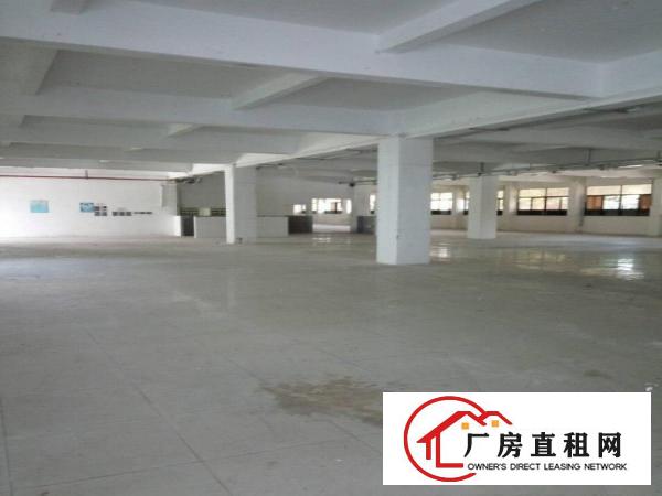  万江园区新出一楼厂房1500平方带装修，形象