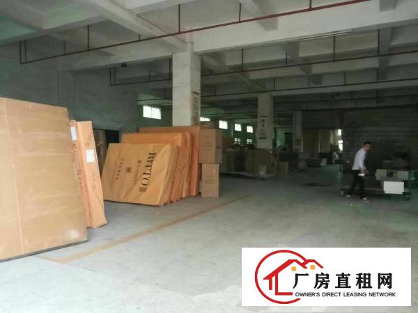  原房东独门独院标准厂房四层带喷淋消防有货梯工业用地能办环评