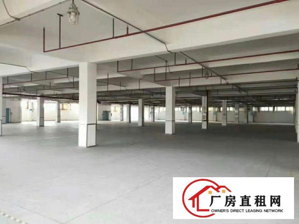  万江工业区新出厂房四层3600平方，现成装修，空地大