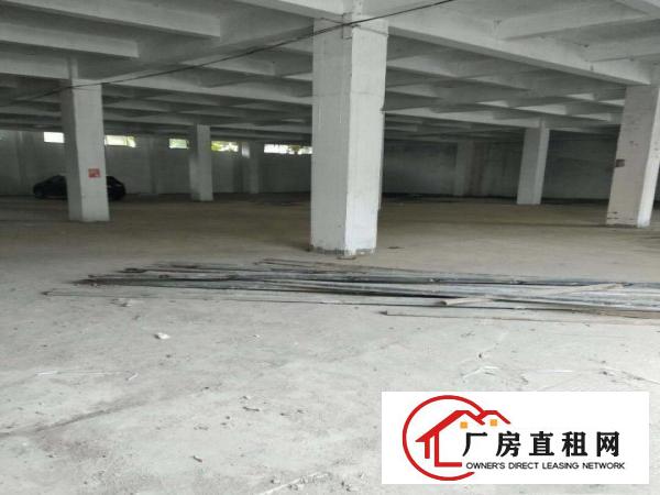  万江工业区新出厂房四层3600平方，现成装修，空地大