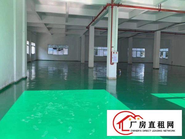  万江新和工业区标准厂房2楼1200平方（现成办公室）