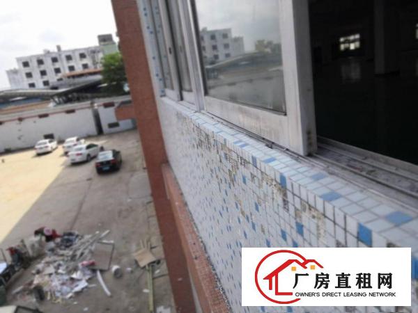  带全新地坪漆，新装修厂房，2000平方，空地大，107国道边