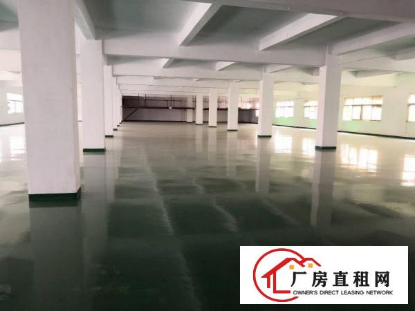  带全新地坪漆，新装修厂房，2000平方，空地大，107国道边