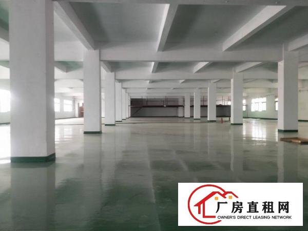  万江石美工业区新出独门独院楼房三层2000平方每层