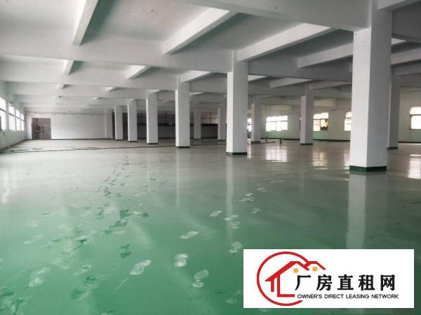  万江石美工业区新出独门独院楼房三层2000平方每层