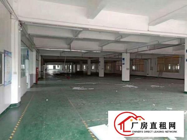  万江石美工业区新出独门独院楼房三层2000平方每层