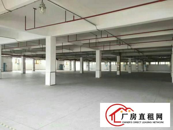  能办鞋材环评国有红本丙二消防大小可分租厂房配电大形象佳空地大